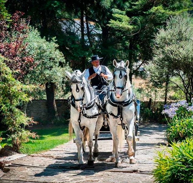 Stay in Lisbon. Best accommodation, events, weddings, corporate, conferences, catering, spa, villa & hotel rental. Book now for unforgettable experiences.