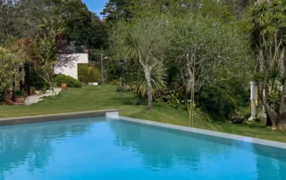 Piscina azul turquesa rodeada de relva verde, palmeiras e vegetação exuberante numa propriedade de luxo.